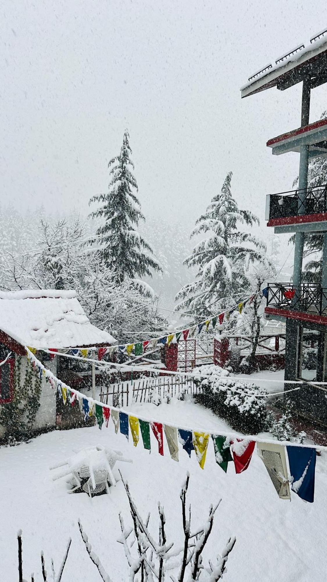 Red House Cafe And Inn Manāli Zewnętrze zdjęcie