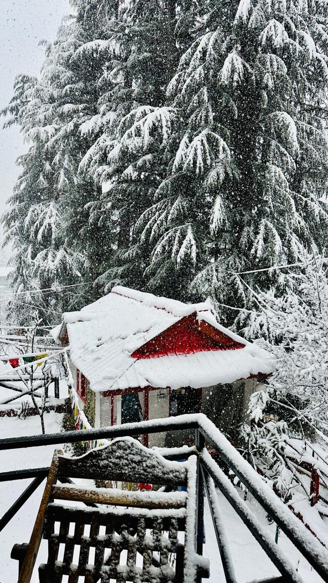 Red House Cafe And Inn Manāli Zewnętrze zdjęcie